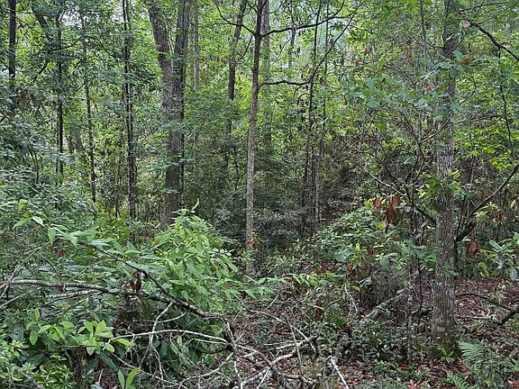 2nd image of 0 Rhett Dr #25