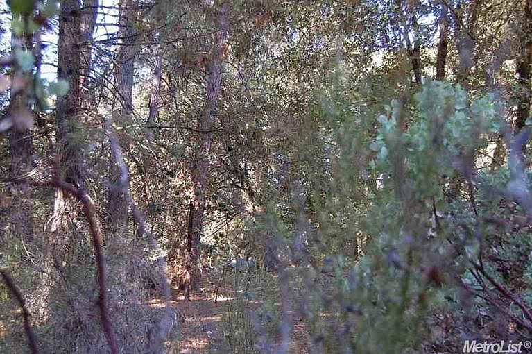 1st image of 1640 Shelter Cove Dr