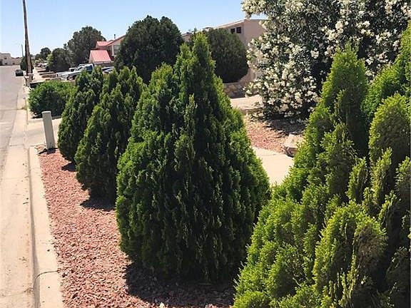 3rd image of 5505 Beth View Dr