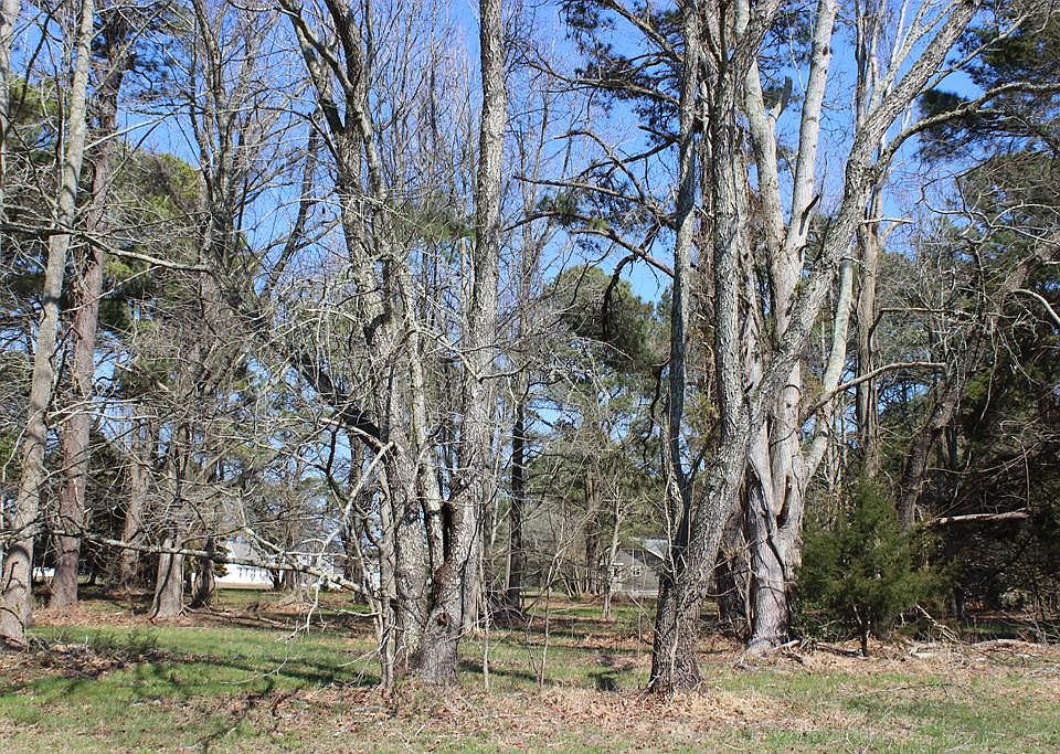 1st image of 134 Neptune Dr #134