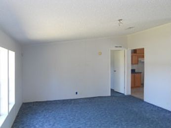 4th image of 219 L A Combee Dr