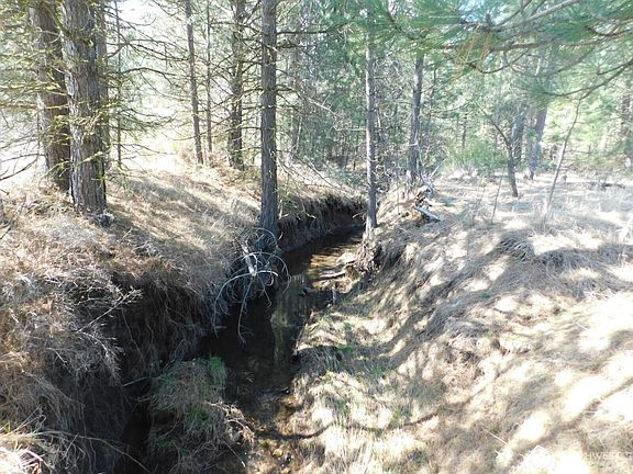 4th image of 627 Pine Creek Road