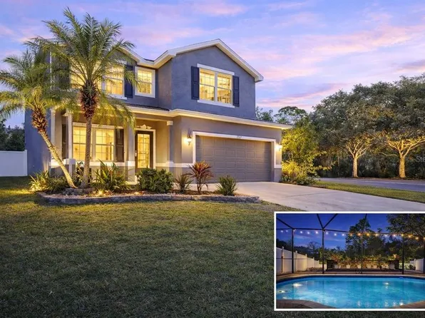 12507 Bay Branch Ct, Tampa, FL 33635