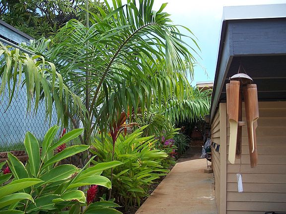 Ladscaped & sidewalks around