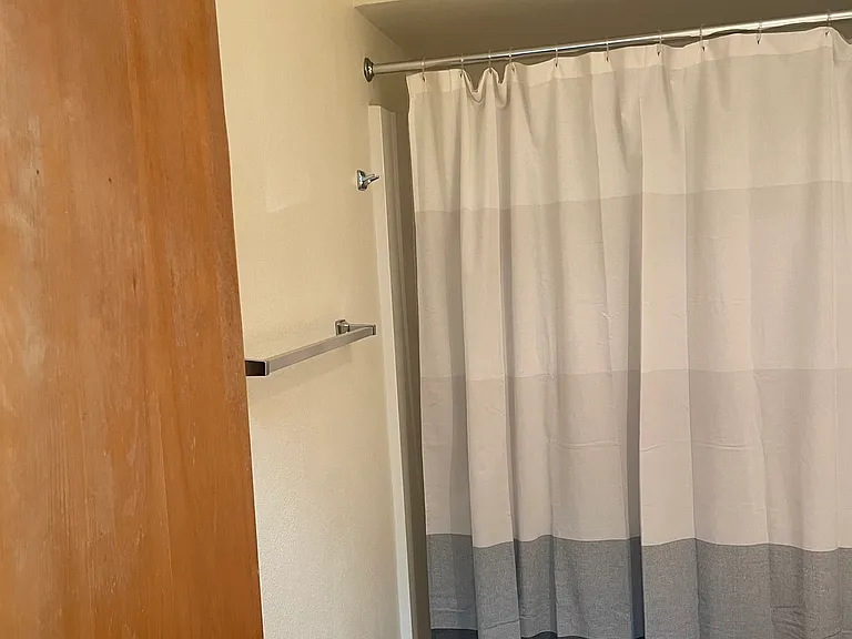 Tub shower