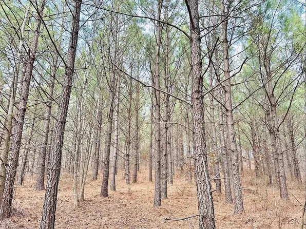 48 Ranches At Hickory Rdg, Dover, TN 37058