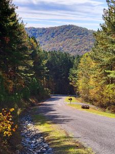 LOT 6 Black Bear Ridge Rd, Ellijay, GA, 30536