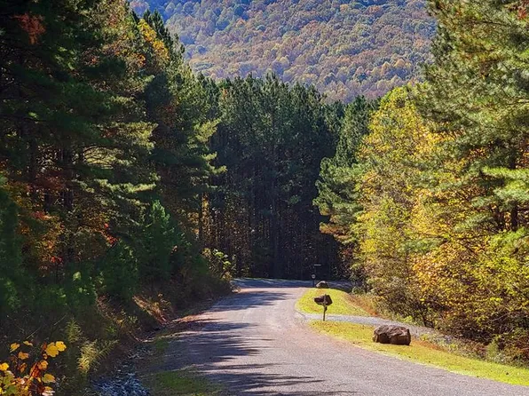 LOT 6 Black Bear Ridge Rd, Ellijay, GA 30536