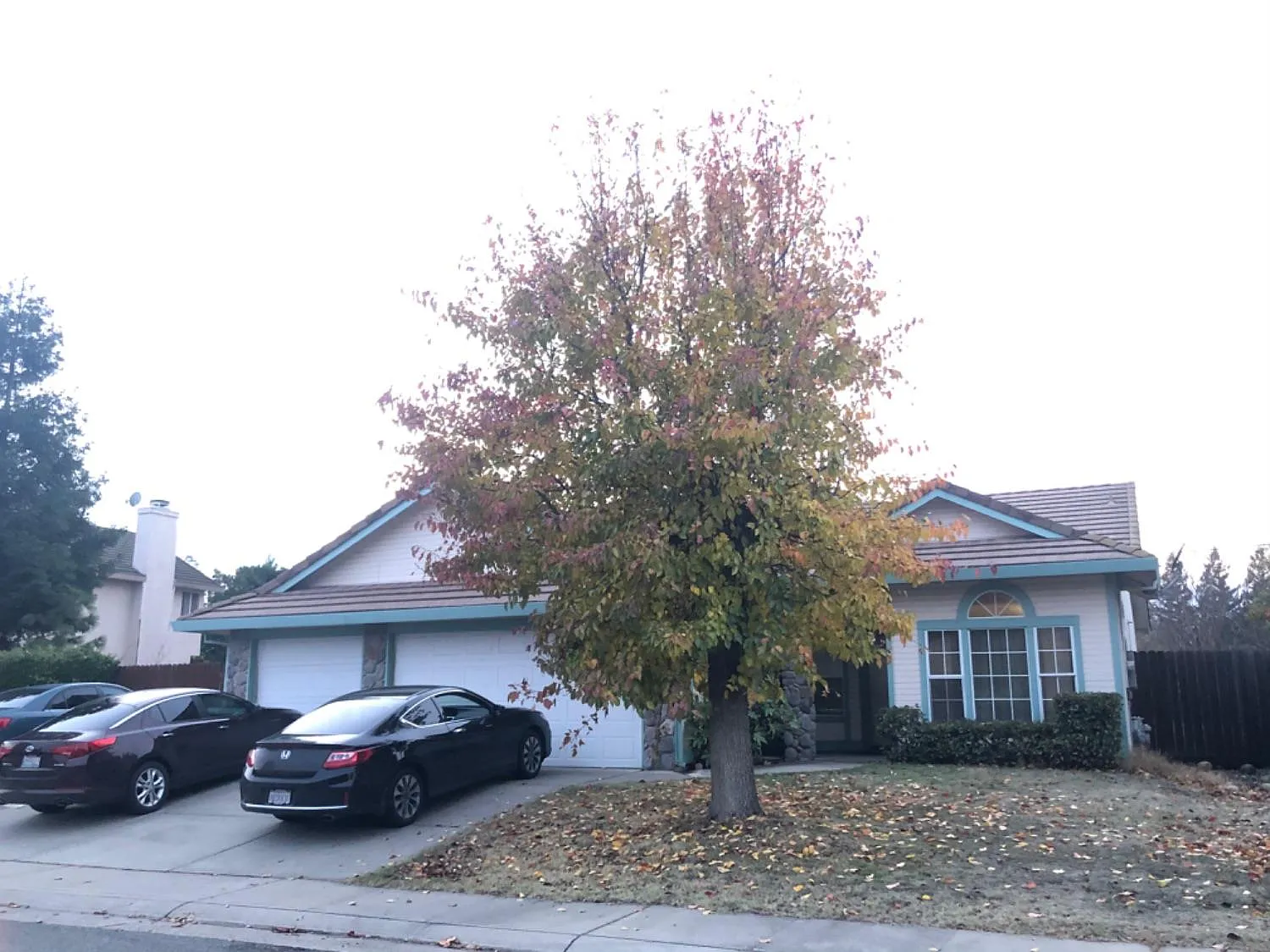 7922 Red Wolf Way photo 1