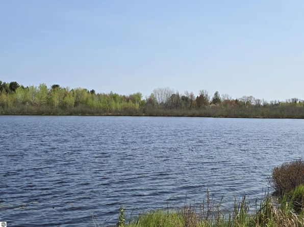 31588 W Birch Shores Dr, Trout Lake, MI 49793