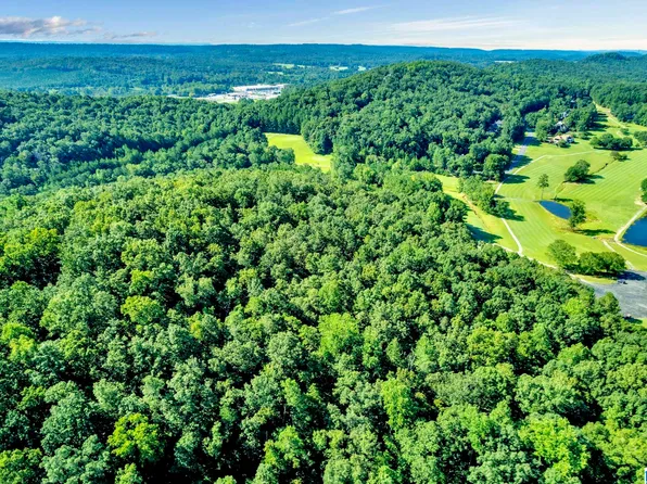 Heritage Rd #1.001, Oneonta, AL 35121