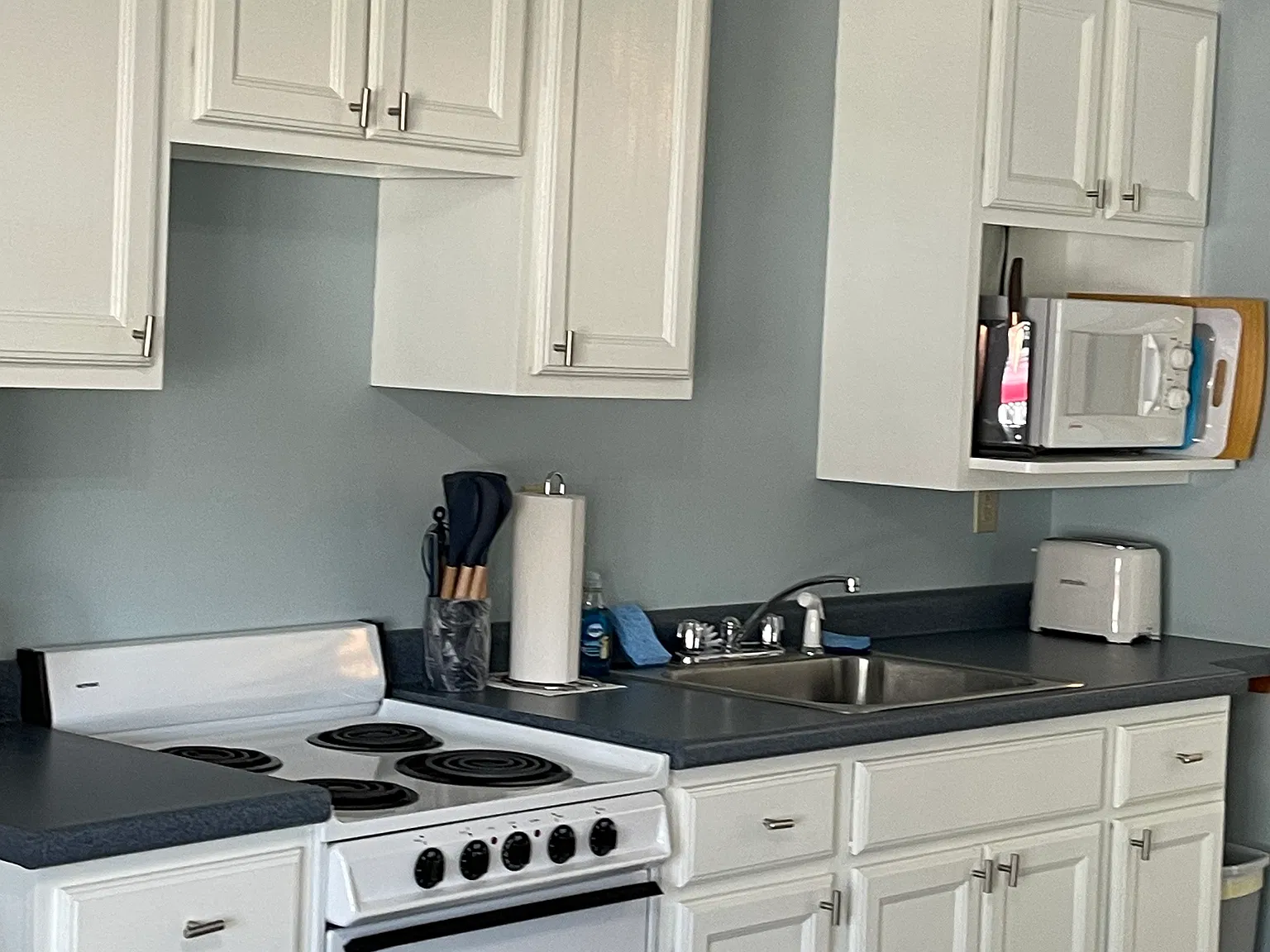 1 bed, 493 sqft, $1,900 — Photo 4