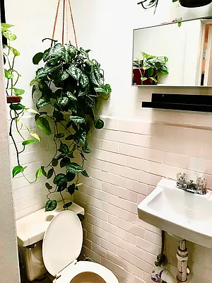 Rented by Boerum Hill Realty | media 50