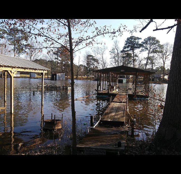 Toledo Bend protected cove.