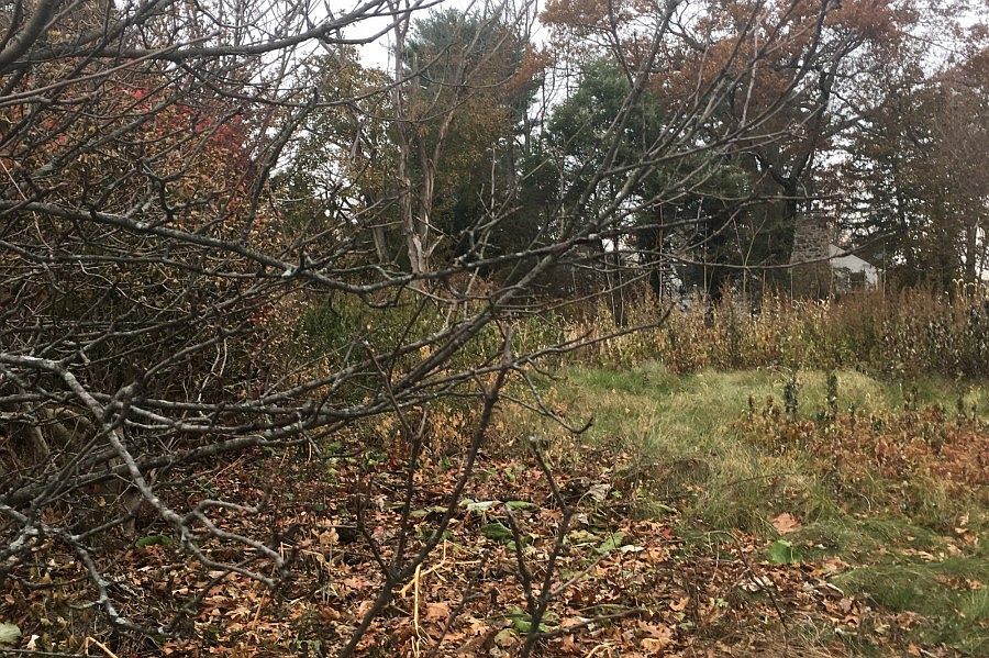 2nd image of 12 Inverness Rd