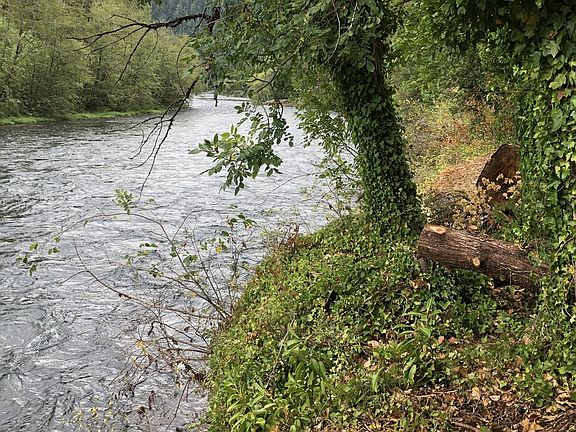 2nd image of McKenzie Hwy