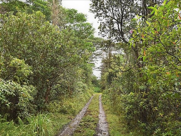 5th image of King Kamehameha Blvd Lot 12