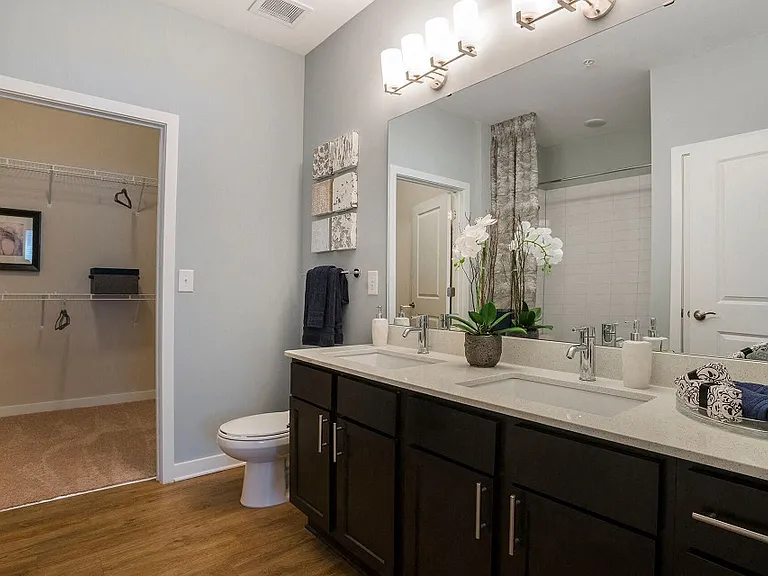 Pointe at Prosperity Village Apartments — Photo 6