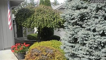 2nd image of 13228 Olympus Way