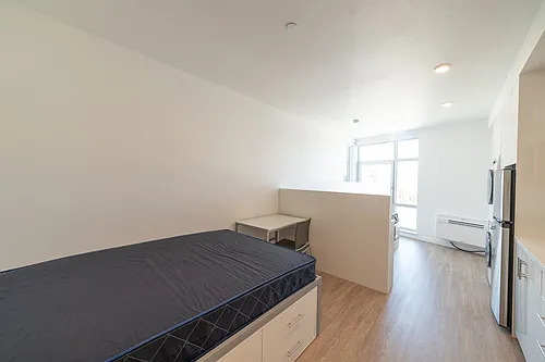 Floor plan 702B (Shared Male)