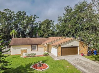 4113 Canoga Park Dr, Brandon, FL 33511
