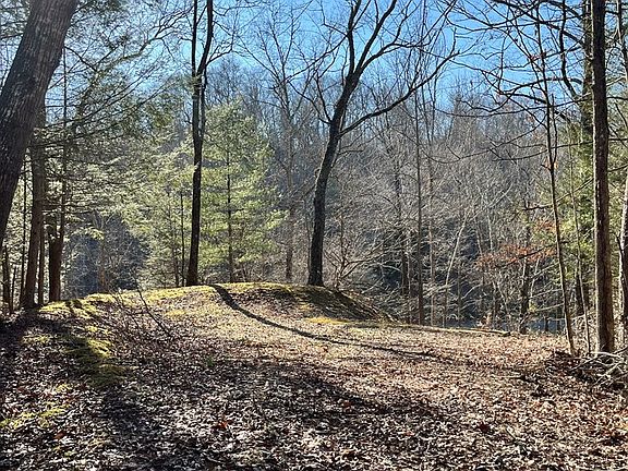 4th image of 0 Ruth Ln Lot 19