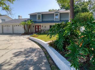 4605 Apple Ridge Ln, Tampa, FL 33624