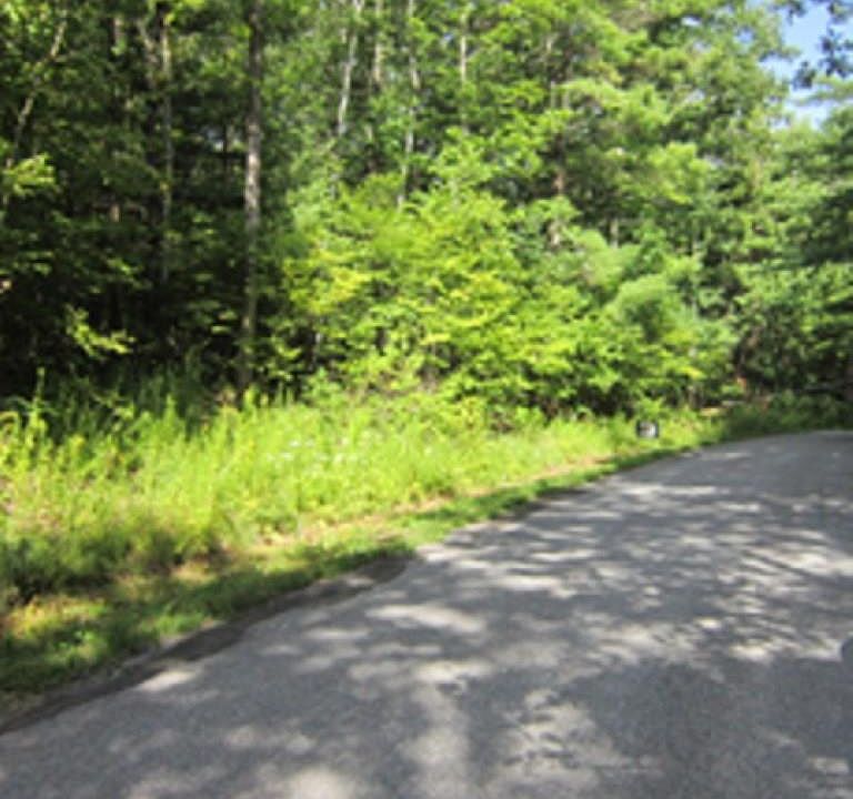 0 Avenue Of The Stars, North Blenheim, NY 12131 | Zillow