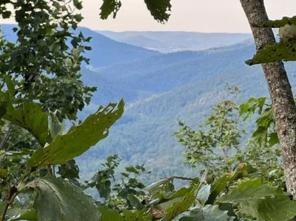 1146 Parkstown Ext, Wilder, TN 38589