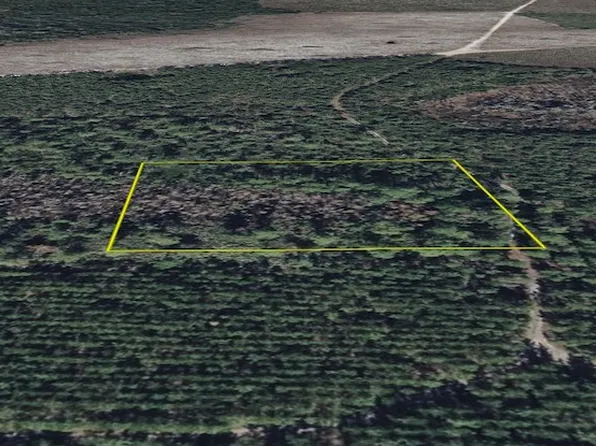 Sun Garden Rd Lot Wp001, Palatka, FL 32177