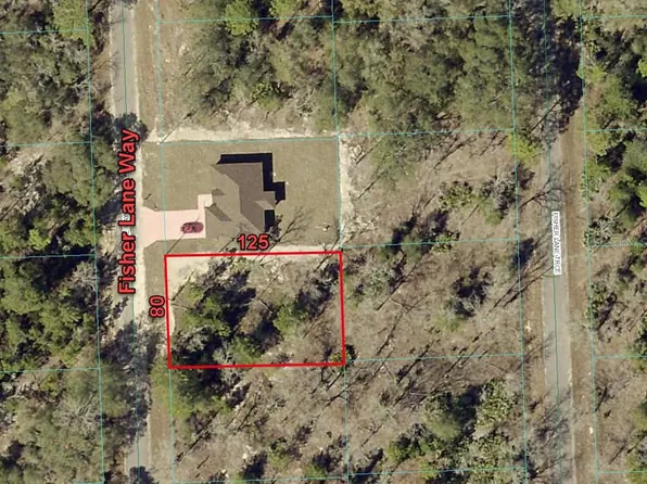 Fisher Lane Way Lot 6, Ocklawaha, FL 32179