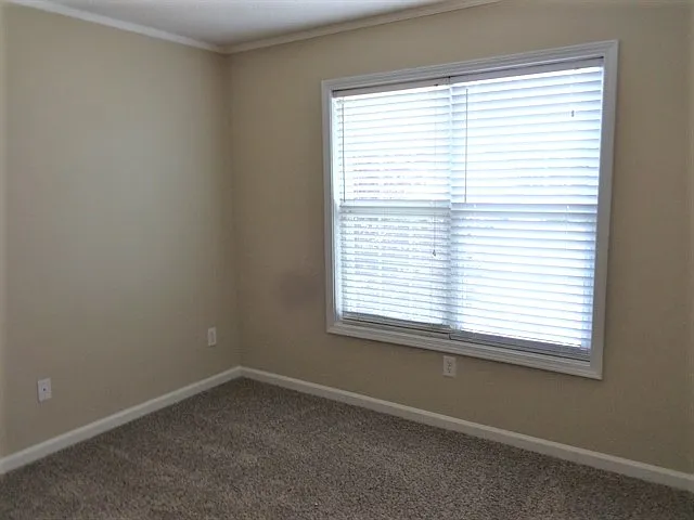 3914 Saint George Ter SW — Photo 10