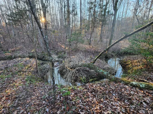 0 Horseshoe Rd Lot 3, Appomattox, VA 24522