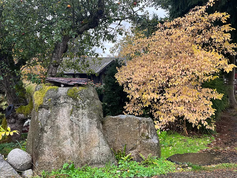 Large stone, & very old apple tree.