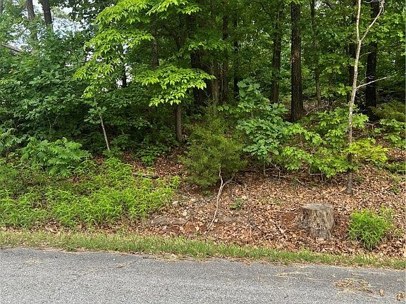 5th image of 73 Bowes Ln