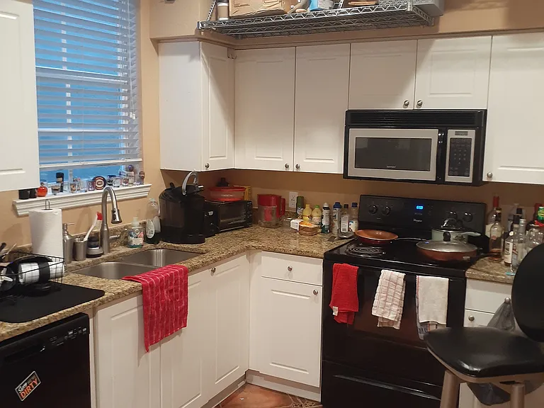 4010 Roclinata Palm Ct — Photo 10