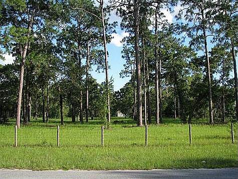 4th image of 11706 County Road 207w