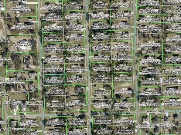 11192 Lomita Wren Rd, Brooksville, FL 34614