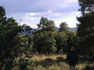 43 Butzke Ct, Pagosa Springs, CO 81147