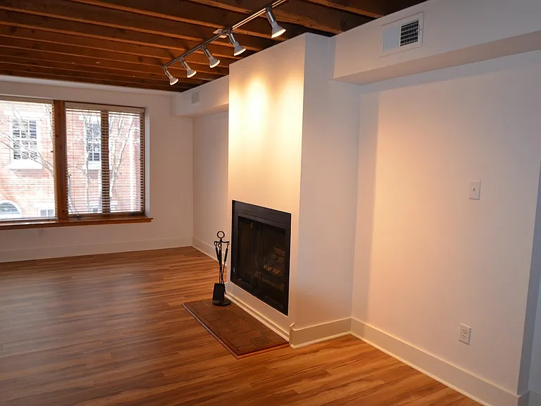 Living room - Fireplace