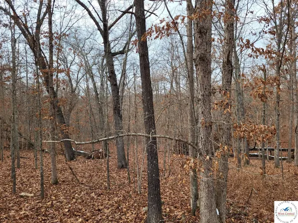 Dunn Dr, Edwards, MO 65326