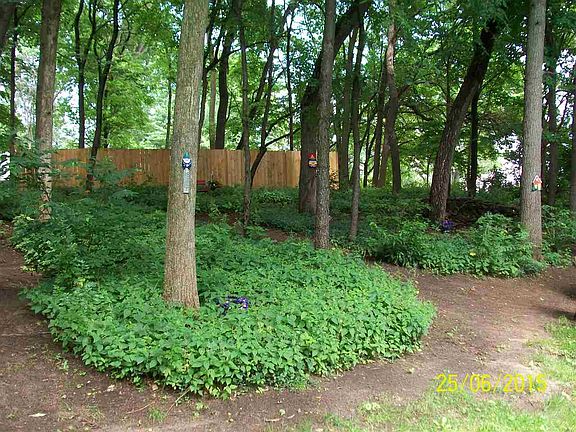 5th image of 5320 Breeze Wood Dr