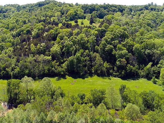 5th image of 460 Red River Rd
