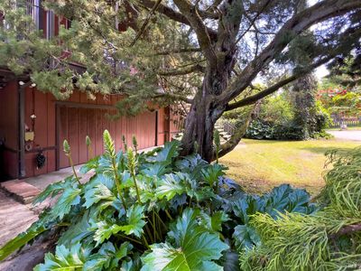 14600 Drake Road, Guerneville, CA, 95446