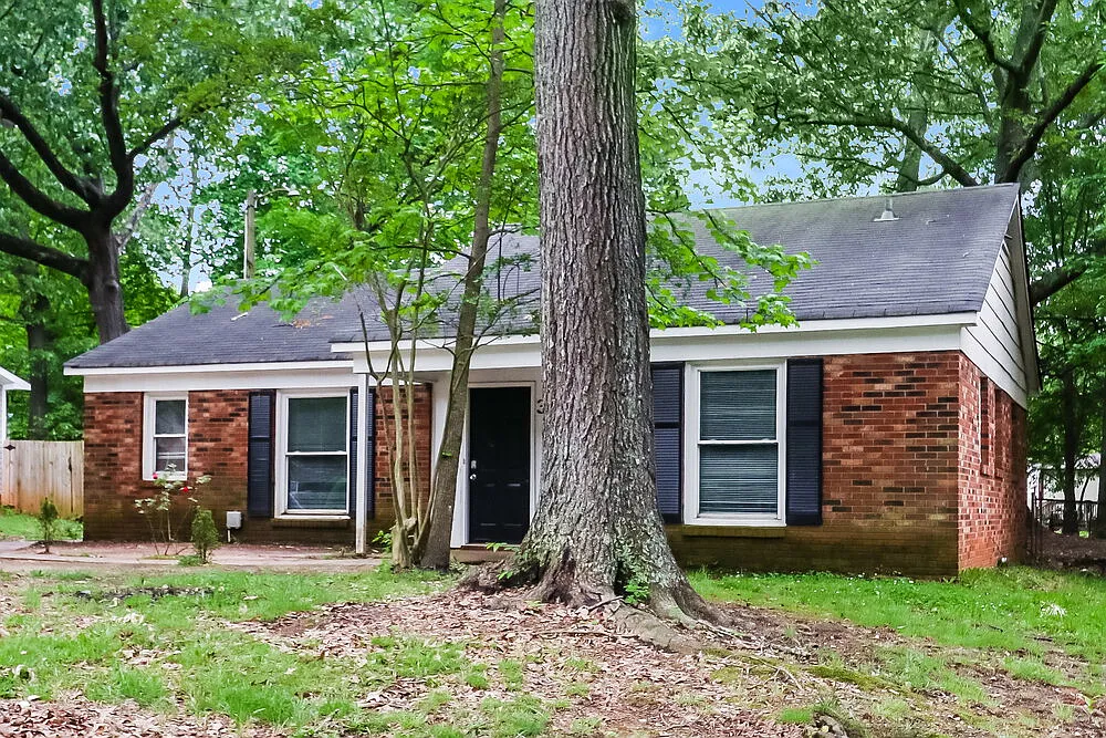3 bed, 1.0 bath, 1074 sqft, $1,675 — Photo 3