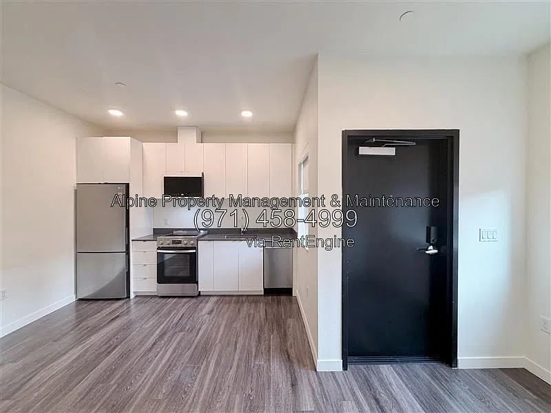 1 bed, 1.0 bath, 458 sqft, $1,239 — Photo 3