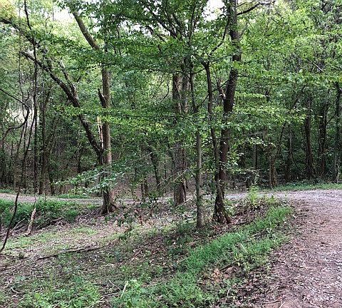 5th image of 919 Edmondson Park
