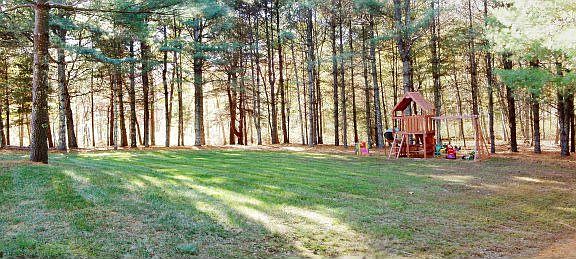 Side Yard w/Cedar Playscape