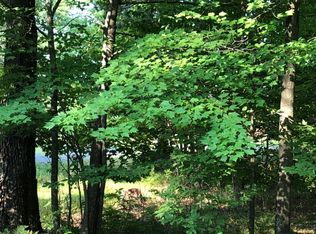 28667 Great Bear Trailway, Danbury, WI 54830