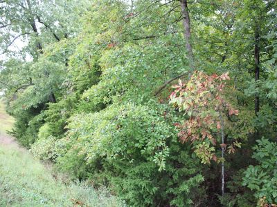 001-02664-000 N High Way #178, Flippin, AR, 72634